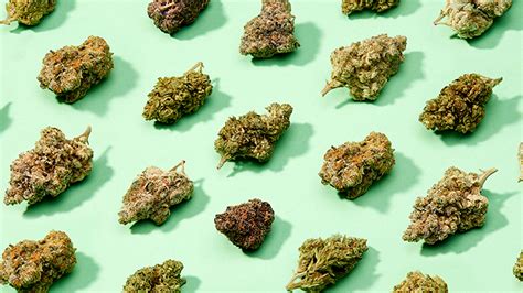 The 7 best hybrid strains