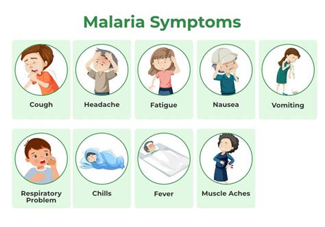 Malaria Symptoms