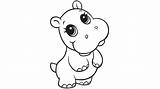 Hippo Face Coloring Page Pages sketch template