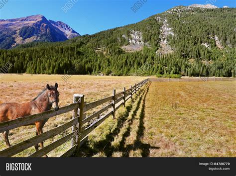 Headwaters National Image & Photo (Free Trial) | Bigstock