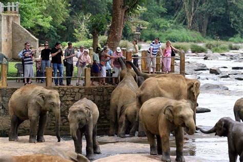 Top 5 places to visit in Sri Lanka - Travellingstory