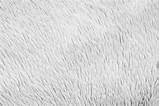 White Fluffy fur Fabric Wool texture Background 12663337 Stock Photo At  sketch template