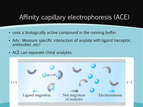 Capillary electrophoresis principles and applications | PPT