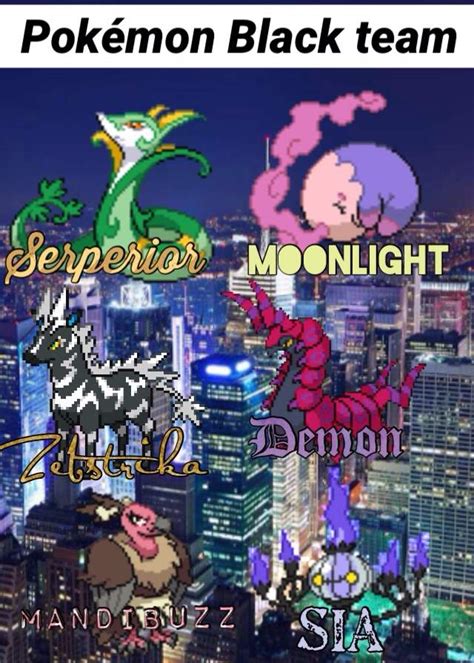 Pokemon Black Team Suggestions