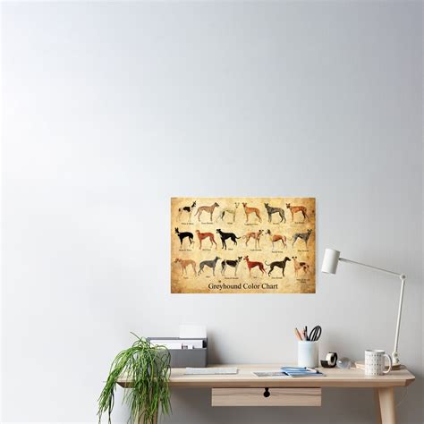 "Greyhound Color Chart" Poster for Sale by ronda-shockey | Redbubble