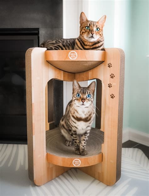 Cozy Cat Scratcher Tower XL (Oak)