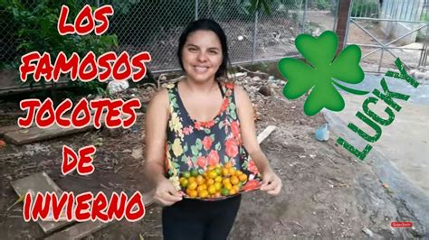 JOCOTES DE INVIERNO En El Salvador, - YouTube