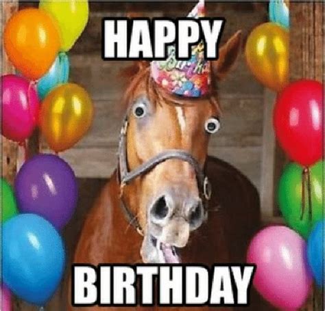 15 Hilarious Happy Birthday Horse Meme Photos | Happy birthday horse ...