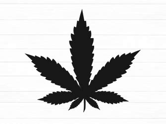 Marijuana leaf SVG free download : 2024 Latest collection