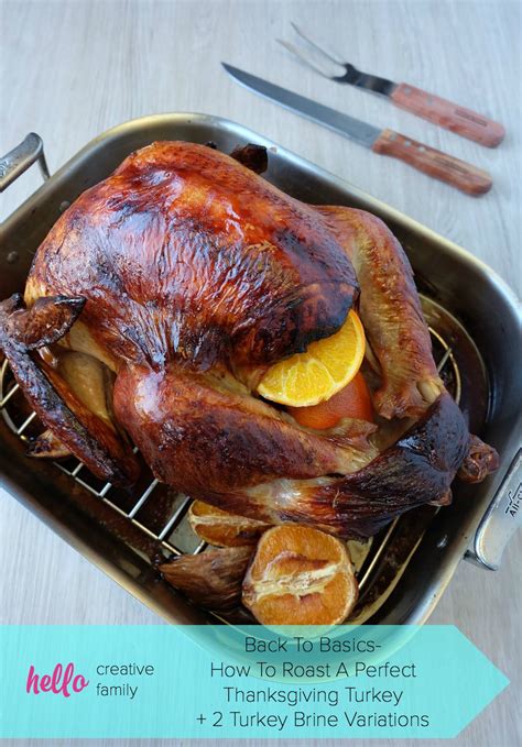 Back To Basics- How To Roast A Perfect Thanksgiving Turkey + 2 Turkey Brine Recipe Variations ...