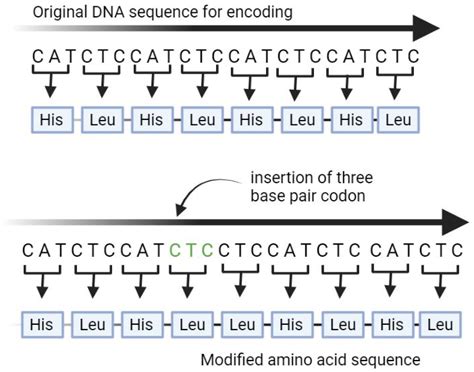 (a) An insertion mutation is caused by insertion of three base pair ...