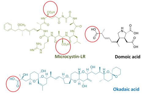 Structural formulae of target phycotoxins. Active groups of the... | Download Scientific Diagram