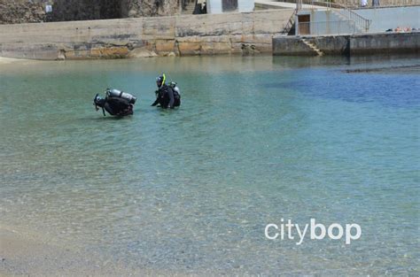 10 BEST Things at Lover's Point Beach - swim, dogs, history