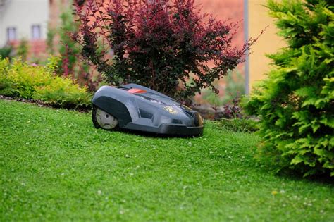 5 Best Robot Lawn Mowers for Hills and Large Lawns