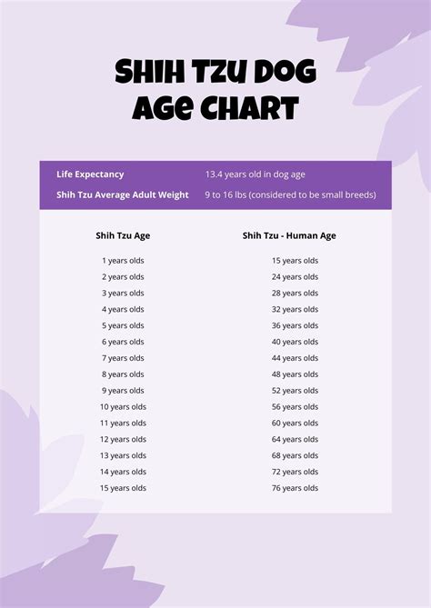 Shih Tzu Age Chart | atelier-yuwa.ciao.jp