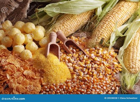 Maize products stock photo. Image of group, nobody, mealie - 20538038