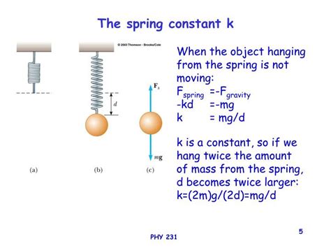 Units Of The Spring Constant