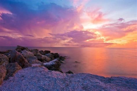 Where to Rockhound in Florida (and What You Can Find) – How to Find Rocks