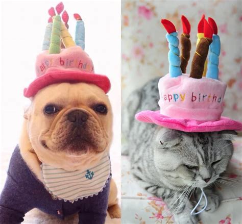 Pet Cat Birthday Hat Dog Cap with Cake & Candles Design Party Cat Costume Accessory Headwear for ...