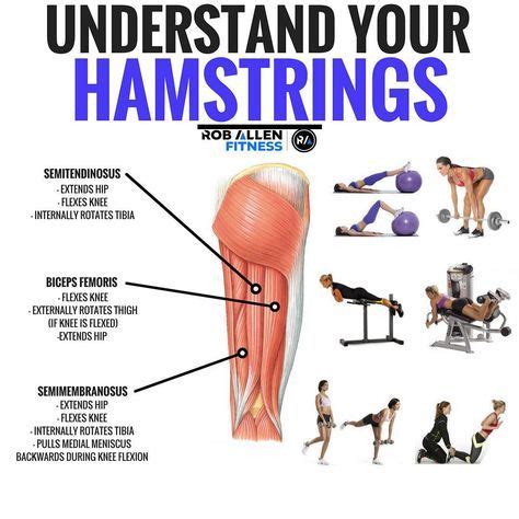 Understand your Hamstrings! What’s your favourite hamstring exercise? Glutes get all the love ...