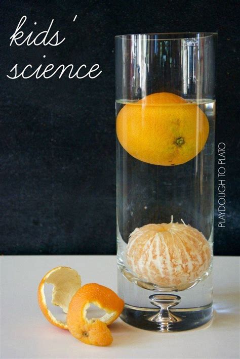 Floating oranges. | Science for kids, Science experiments kids, Fun science