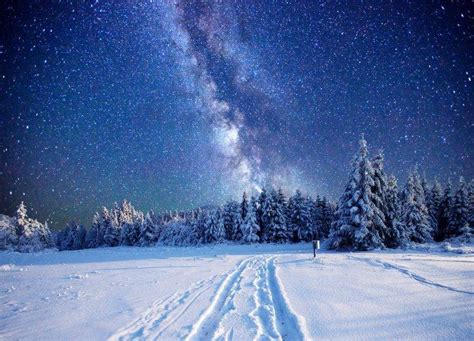 pine Trees, Snow, Landscape, Stars Wallpapers HD / Desktop and Mobile ...