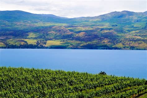 Legend Has It Okanagan Lake Is Home To A Giant Sea Serpent