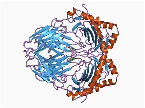 Myelin basic protein - Alchetron, The Free Social Encyclopedia