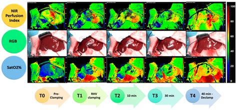 Examples of the photos acquired with the hyperspectral camera at... | Download Scientific Diagram