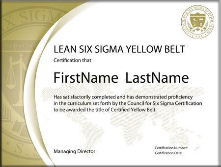 Lean Six Sigma Yellow Belt: Standard Exam (Single Certification) - The Council for Six Sigma ...