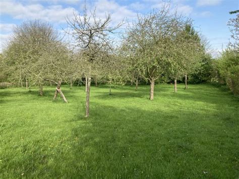 A RARE OPPORTUNITY TO PURCHASE A ONE ACRE TRADITIONAL ORCHARD SET ON THE OUTSKIRTS OF PORTBURY ...