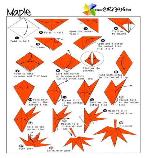 Maples Origami | Paper Origami Guide