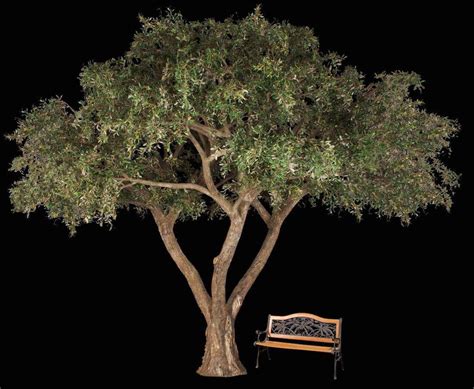 Artificial Mediterranean Olive Tree | TreeScapes & PlantWorks