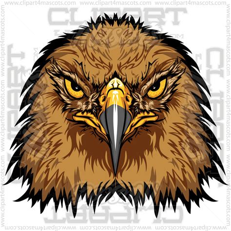 Hawk Head Image. Vector or Jpg Formats.