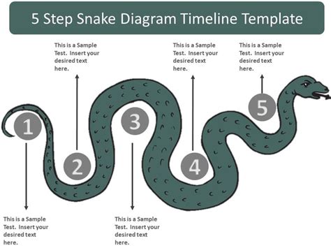 5 Step Snake Diagram Timeline Template | Timeline, Diagram, Templates