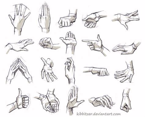 Hand Reference for Drawing