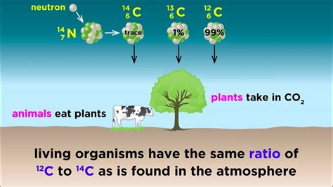 Radiometric Dating: Carbon-14 and Uranium-238 - YouTube