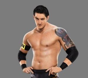 wwe Wade Barrett Profile And Pictures 2011 | Wrestling Stars