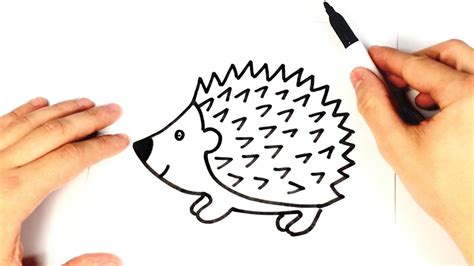 How to draw a Hedgehog for kids | Hedgehog Drawing Lesson | Hedgehog drawing, Flower drawing ...