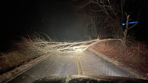 Weak tornado causes tree damage in Haywood County, Tennessee ...