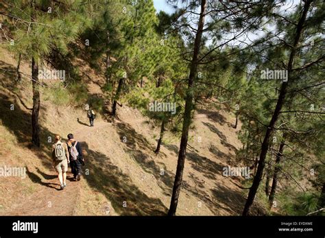 Tourist trekking in the Himalayas; India Stock Photo - Alamy