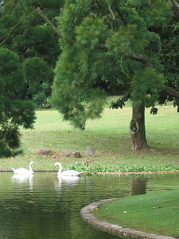 File:Istana 7, Singapore, Jan 06.JPG - Wikimedia Commons