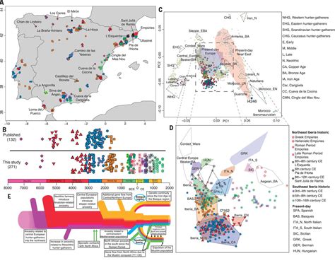 The genomic history of the Iberian Peninsula over the past 8000 years ...