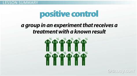 Positive Control Group | Purpose, Experiment & Examples - Lesson | Study.com