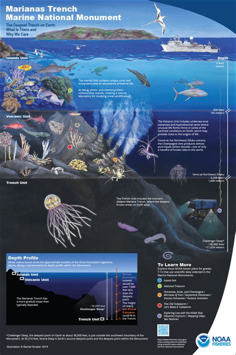 mariana trench depth, Trench - Wikipedia - agriturismofurfullanu.net