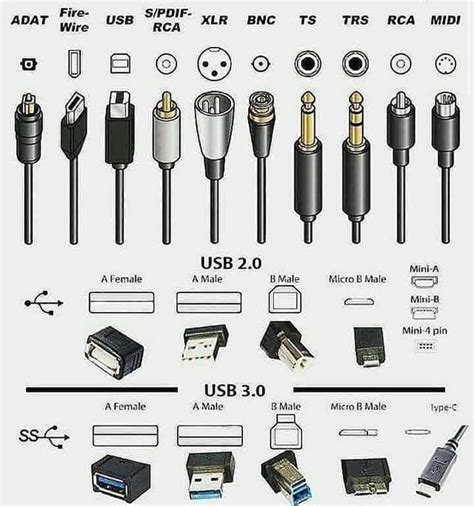 All The Different Types Of Plugins - The Success Manual