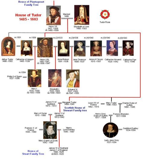 House of Tudor Family tree | Royal Line of Succession | Pinterest