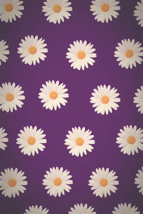 Purple Daisy wallpaper | Daisy wallpaper, Flowery wallpaper, Iphone ...