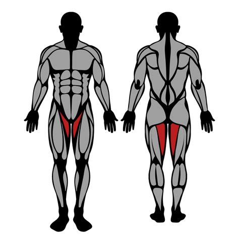 How to Do Hip Adduction Machine: Muscles Worked & Proper Form – StrengthLog