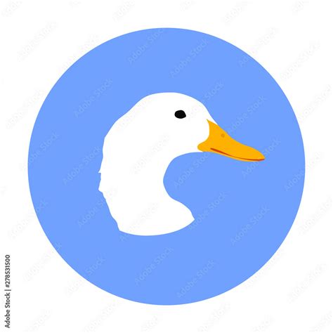 Domestic white duck had vector isolated on white background. Farm ...